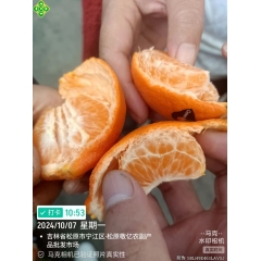 松原测试叶桔55