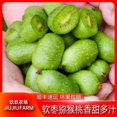 丹东软枣猕猴桃1/2/3斤奇异莓青皮圆枣新鲜孕妇水果顺丰包邮整箱