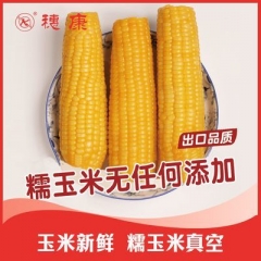 穗康糯玉米新鲜甜糯黄糯8支装230g/支即食整箱新鲜糯黏玉米真