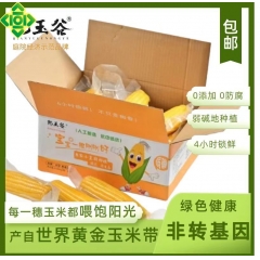 乾玉谷甜糯玉米庭院经济绿色原生态鲜棒真空包装(试吃装)≥22...