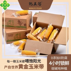 乾玉谷甜糯玉米庭院经济绿色原生态鲜棒真空包装(家庭装)≥18...
