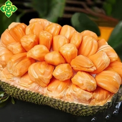 特级红肉菠萝蜜（商品净重23斤）