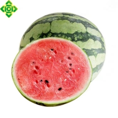 李明星麒麟西瓜2号（商品净重31.5斤）