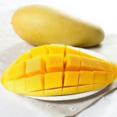 海南金煌芒果（6.35/斤净重55.5斤）